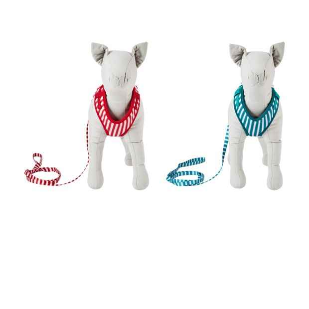 Anko Puppy Harness - Assorted