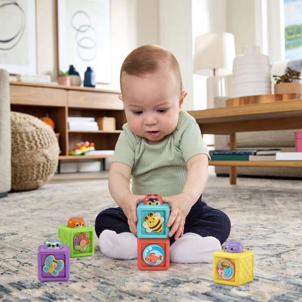 VTech Baby Pop-a-Blocks