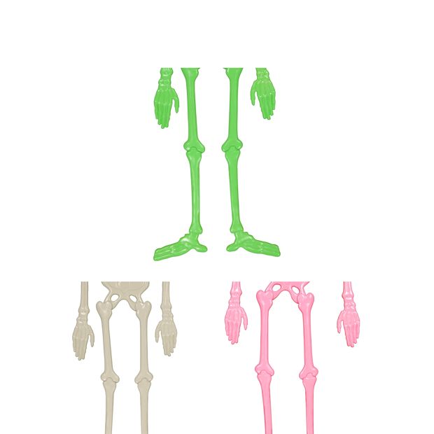 Anko Hanging Skeleton - Assorted