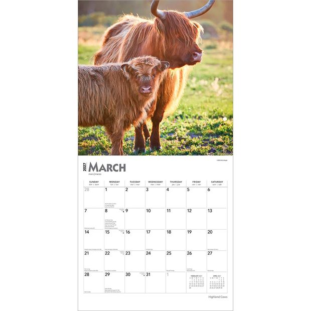Highland Cows 2027 16-Month Calendar
