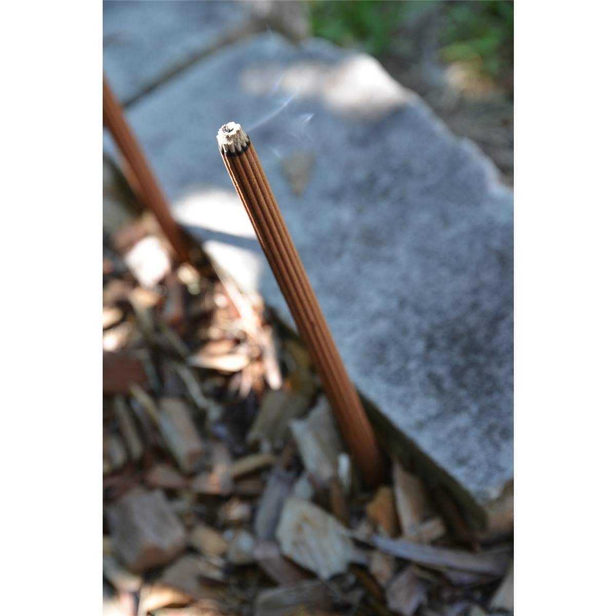 Waxworks Sandalwood Mozzie Sticks With Eucalyptus & Citronella 12 Pack