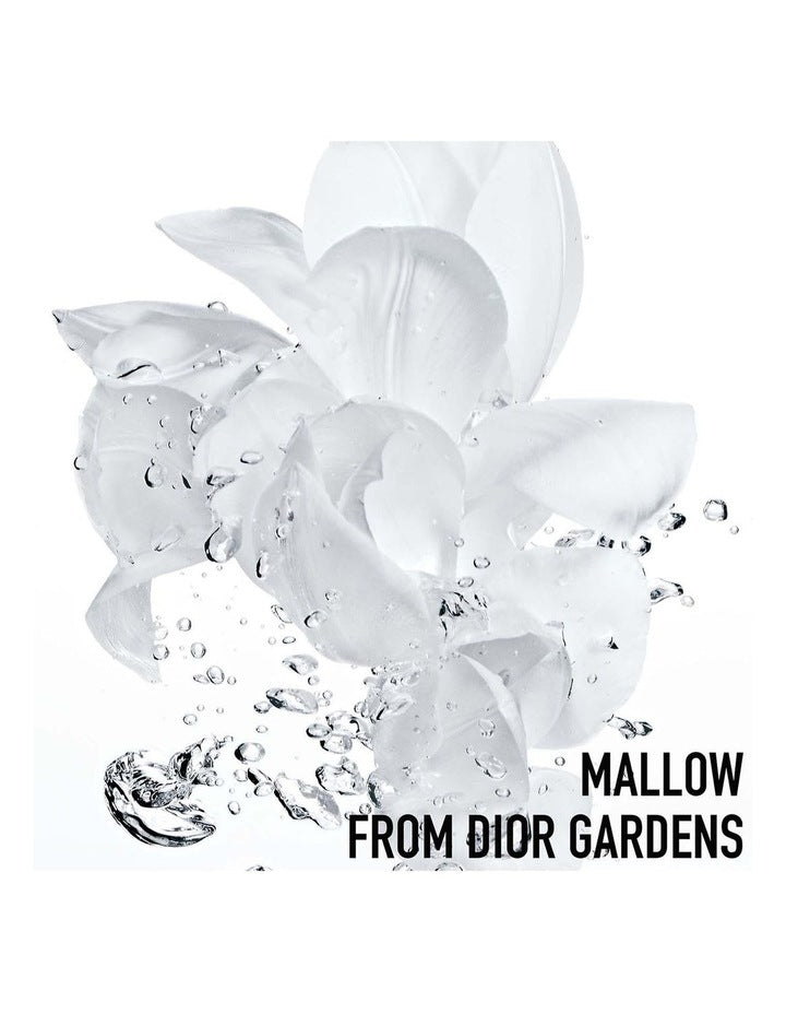 Hydra Life Sorbet Water Essence 40ml