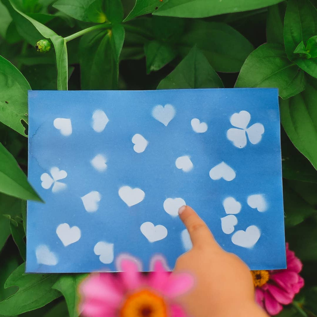 Our Earth Life Nature Print Kit Sun Printing Paper Nature Play Art and craft for kids 3yrs+