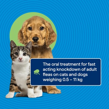 Totalcare Capstar Puppy Small Dog/Cat 3 pack