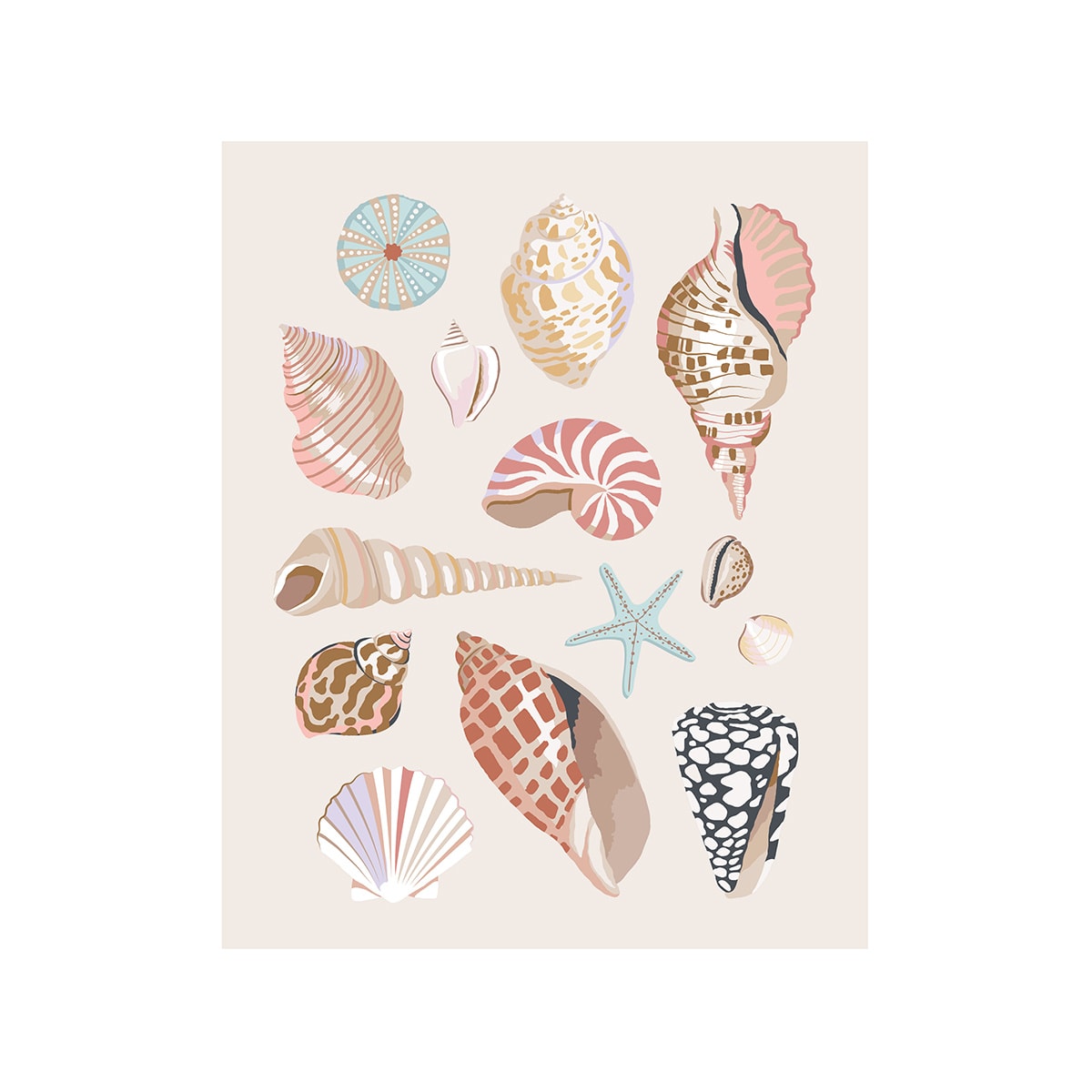 Paint By Numbers - Shell