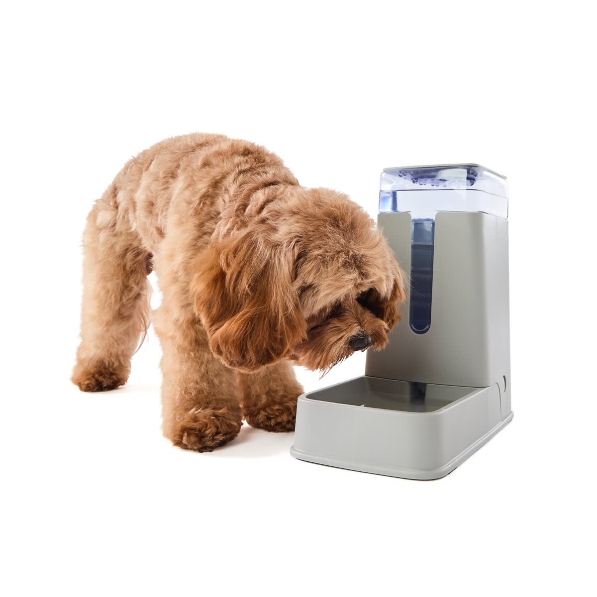 Pet Gravity Feeder Modern