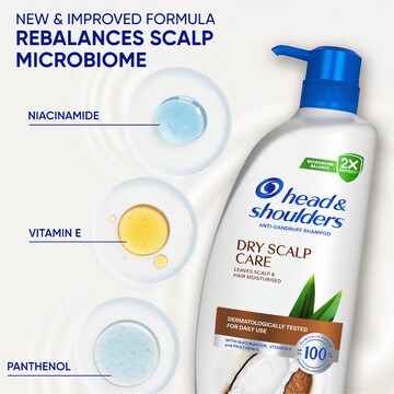 Head & Shoulders Dry Scalp Care Anti Dandruff Shampoo 850mL