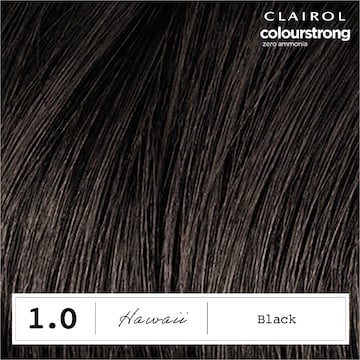 Clairol Colour Strong Hair Dye Black 1.0 each