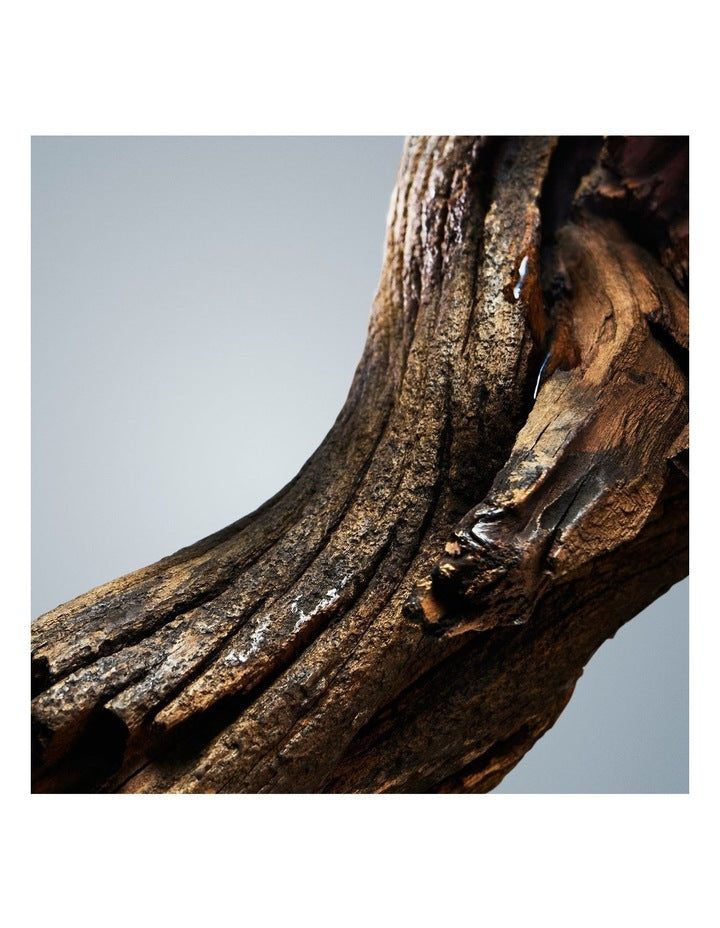 Bottled Eau de Toilette Deodorant Stick