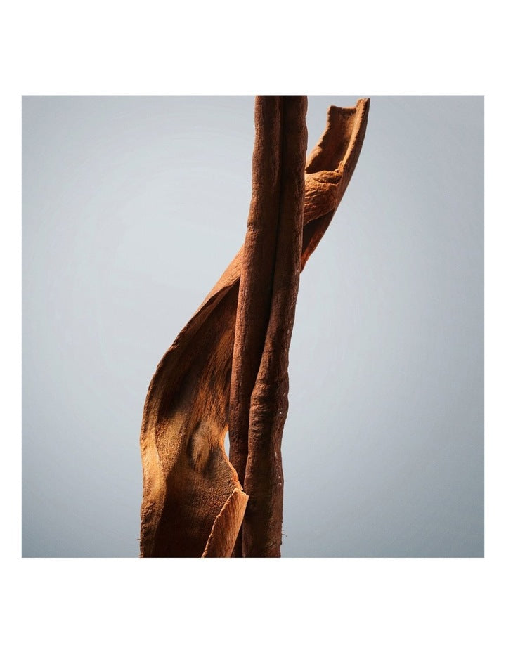 Bottled Eau de Toilette Deodorant Stick