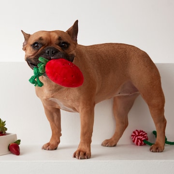 Oscar & Friends Plush Strawberry Dog Toy each
