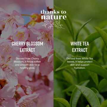 Thanks To Nature Creamy Body Wash Hydrate Cherry Blossom & White Tea 500mL