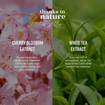 Thanks To Nature Antibacterial Foaming Hand Wash Cherry Blossom White Tea 420mL