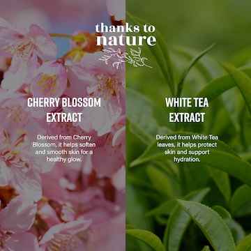 Thanks To Nature Shower Oil Body Wash Hydrate Cherry Blossom & White Tea 250mL