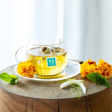 T2 Tea Tummy Tea Bags 25 pack