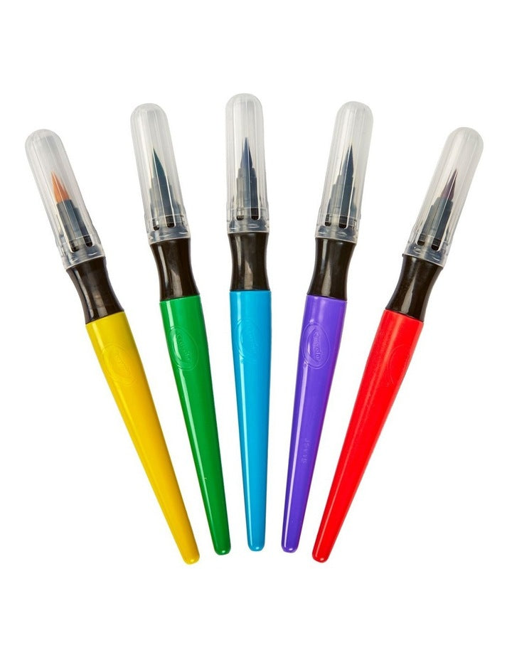 5 Paint Brush Pens