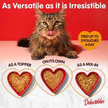 Delectables Lickable Cat Treat Gravy With Chicken & Turkey 40g