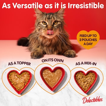 Delectables Lickable Cat Treat Gravy With Chicken & Turkey 40g
