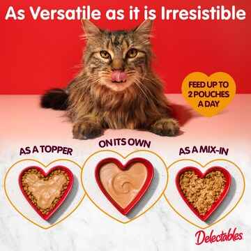 Delectables Lickable Cat Treat Bisque With Chicken 40g