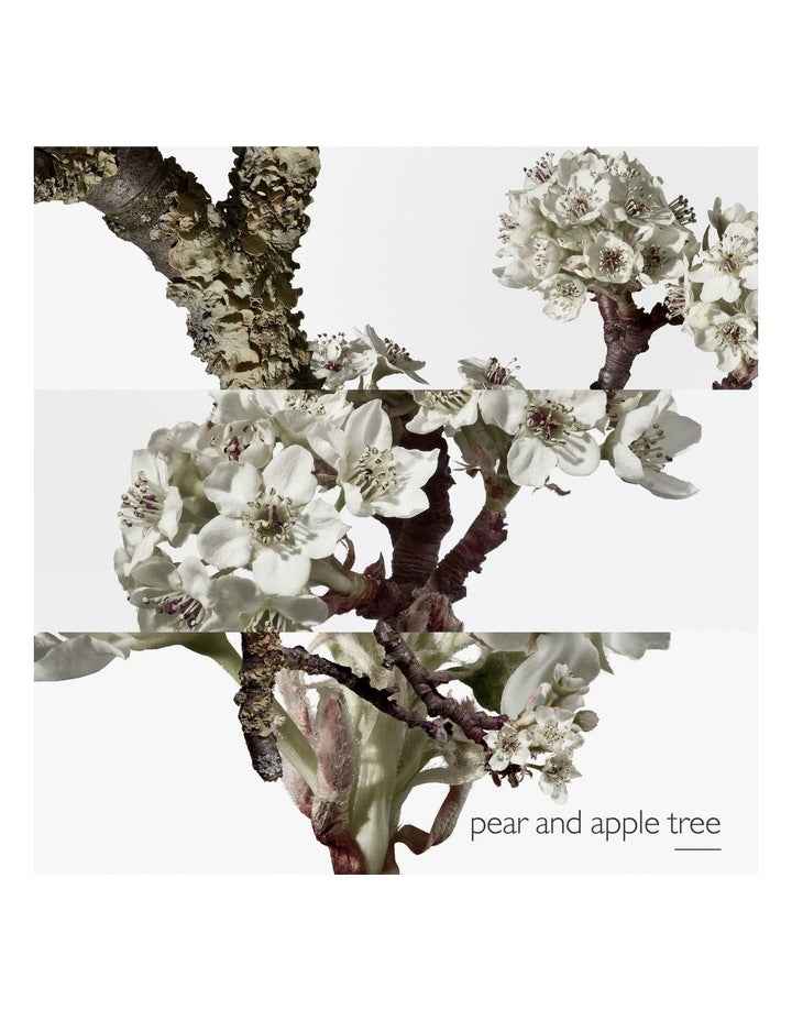 Un Jardin sur le Toit Eau de Toilette 100ml