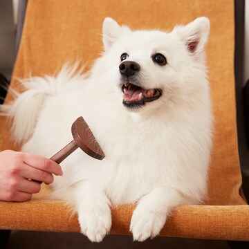 Oscar & Friends Premium De-Shedding Pet Brush each