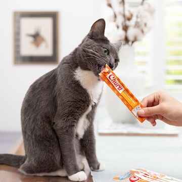 Churu Puree Cat Treats Chicken With Scallop 14g x 4 pack