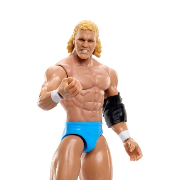 WWE 6-inch Collectible Superstars Action Figure - Assorted