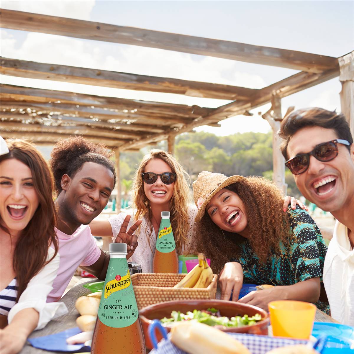 Schweppes Dry Ginger Ale Soft Drink Classic Mixers Bottle 1.1l