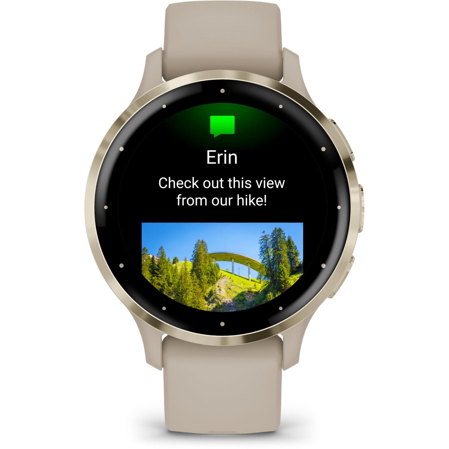 Garmin Venu 3S Sports Watch (French Grey/Soft Gold)