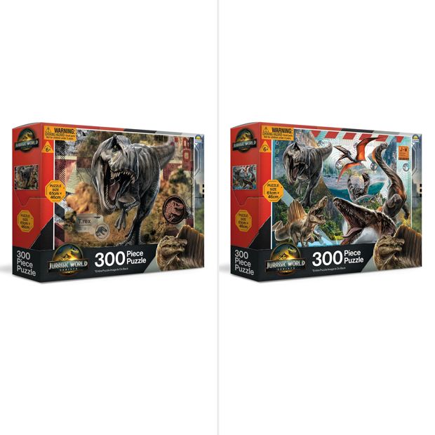 Licensed 300 Piece Jigsaw Puzzle - Assorted*