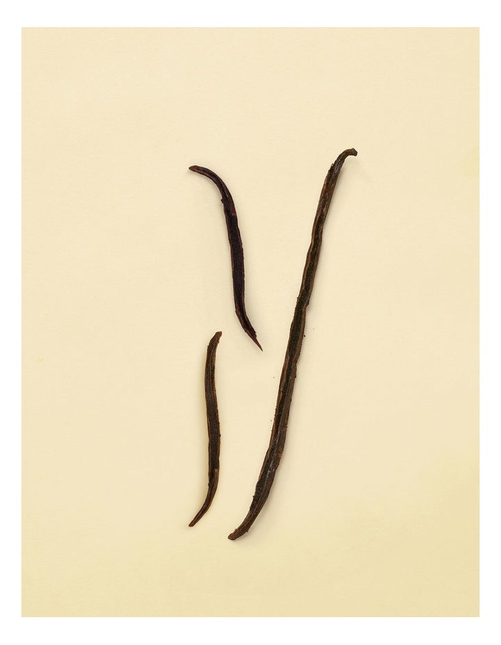 The Alchemist's Garden The Virgin Violet Eau de Parfum