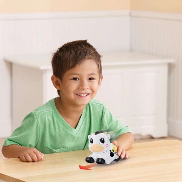 VTech Animal Friends - Assorted