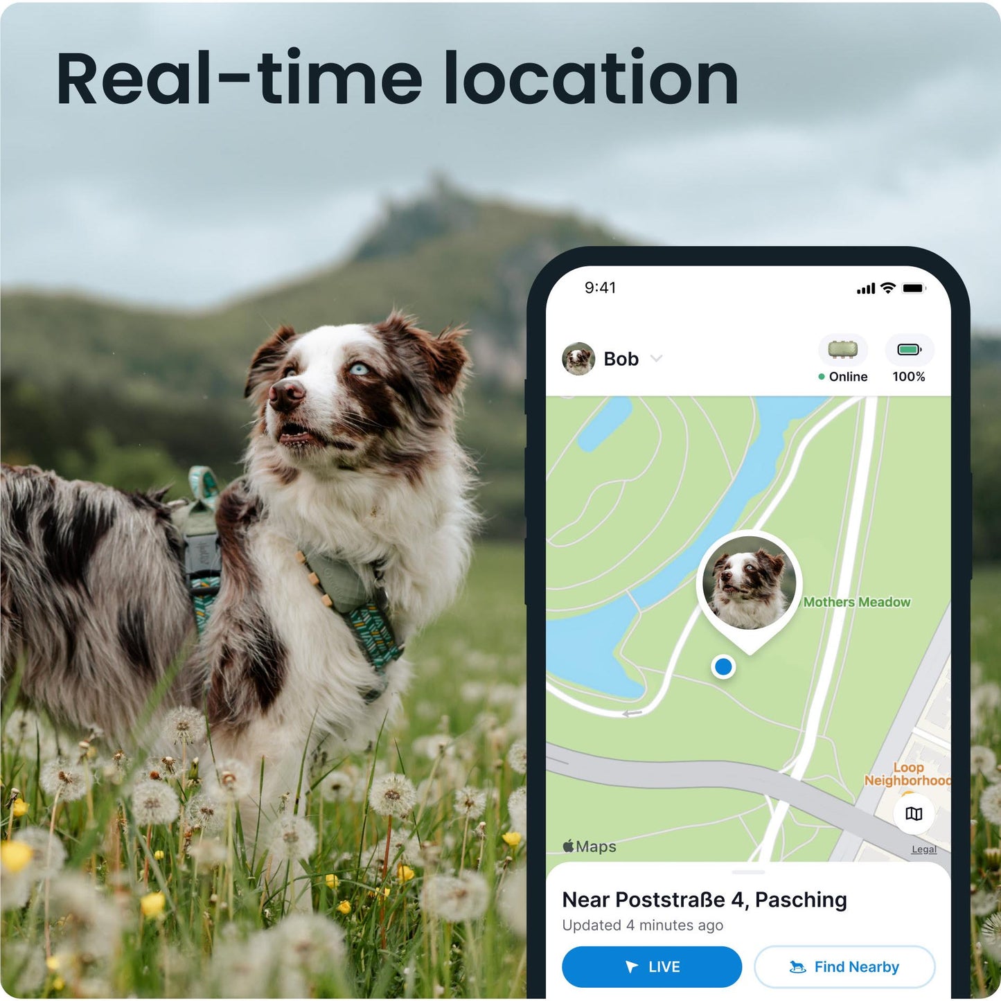 Tractive GPS DOG XL (Green)