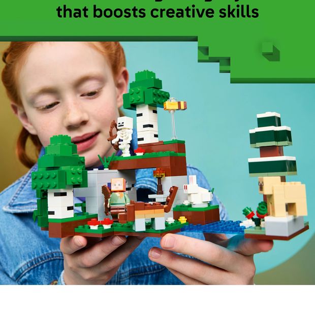 LEGO® Minecraft First Night Adventure 21593