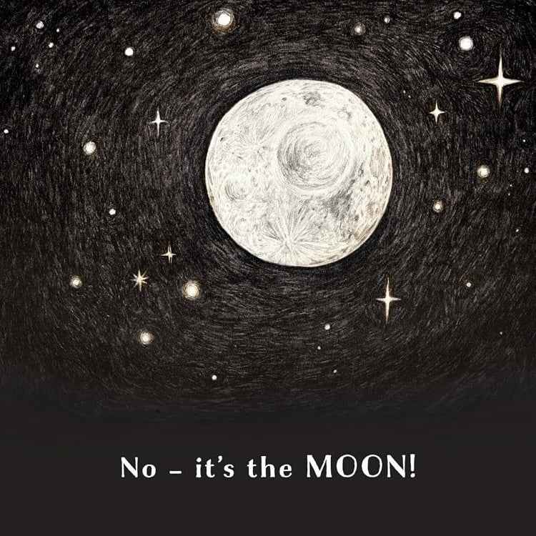 Is This A Plum? (Hardcover) by by Dan Ojari and Finn Ojari A Peek-Through Picture Book