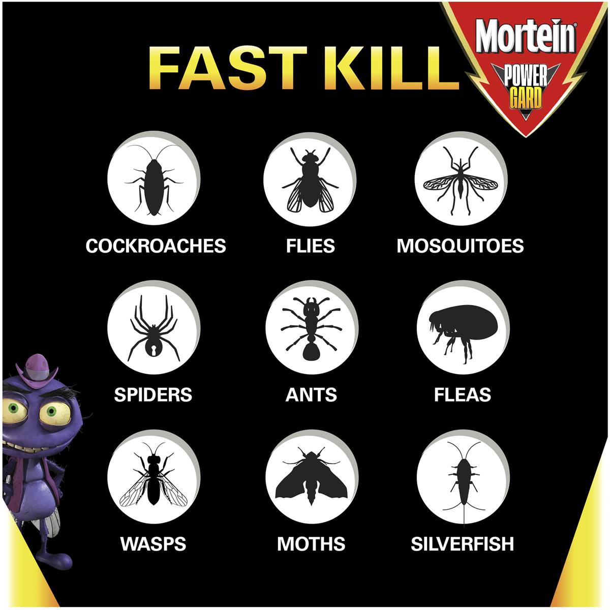 Mortein Powergard Multi-Insect Spray 300g