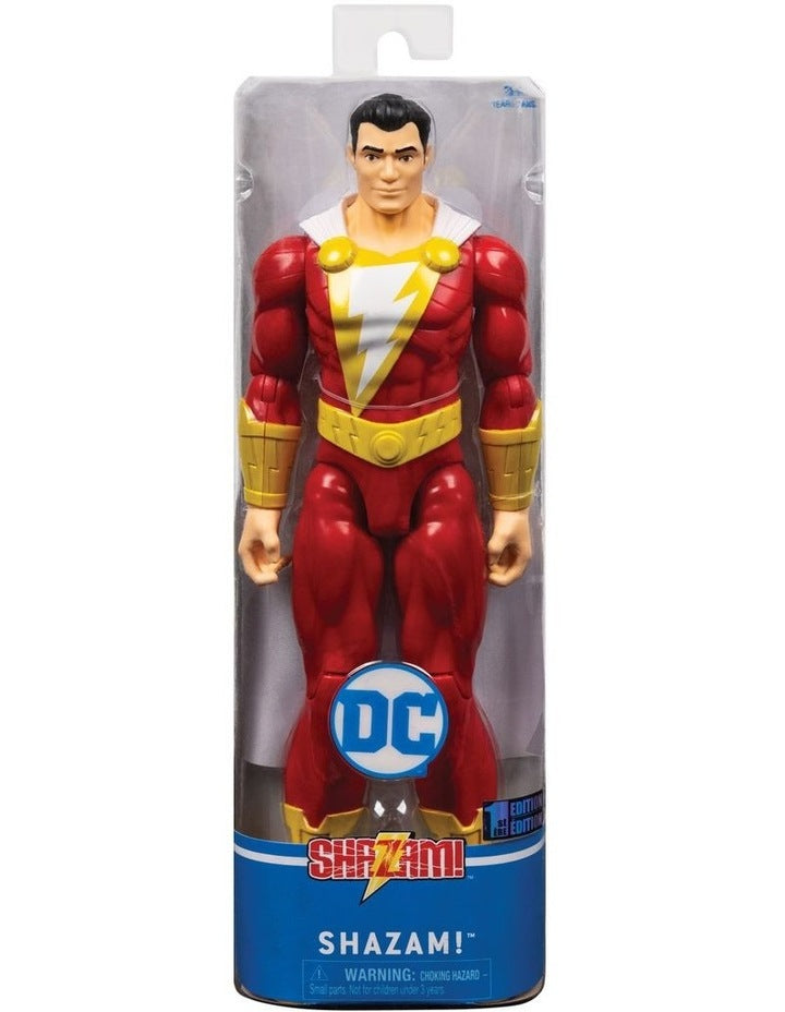 12-inch Figure (Randomly Selected)