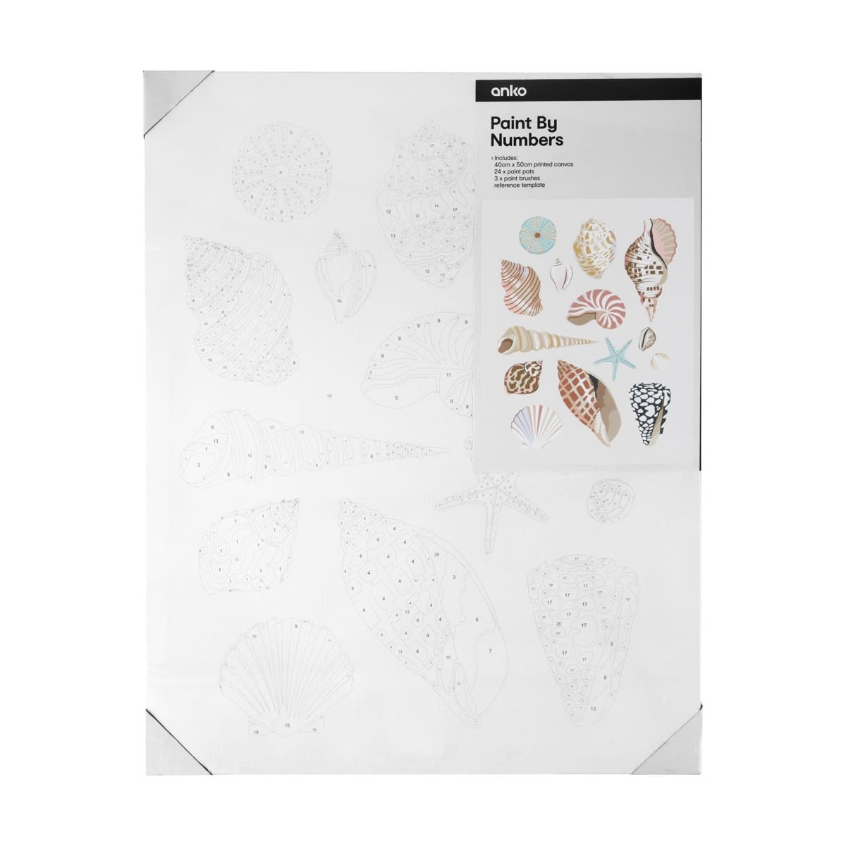 Paint By Numbers - Shell