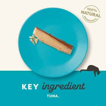 Applaws Adult Cat Food Natural Treat Tuna Loin Plain 30g