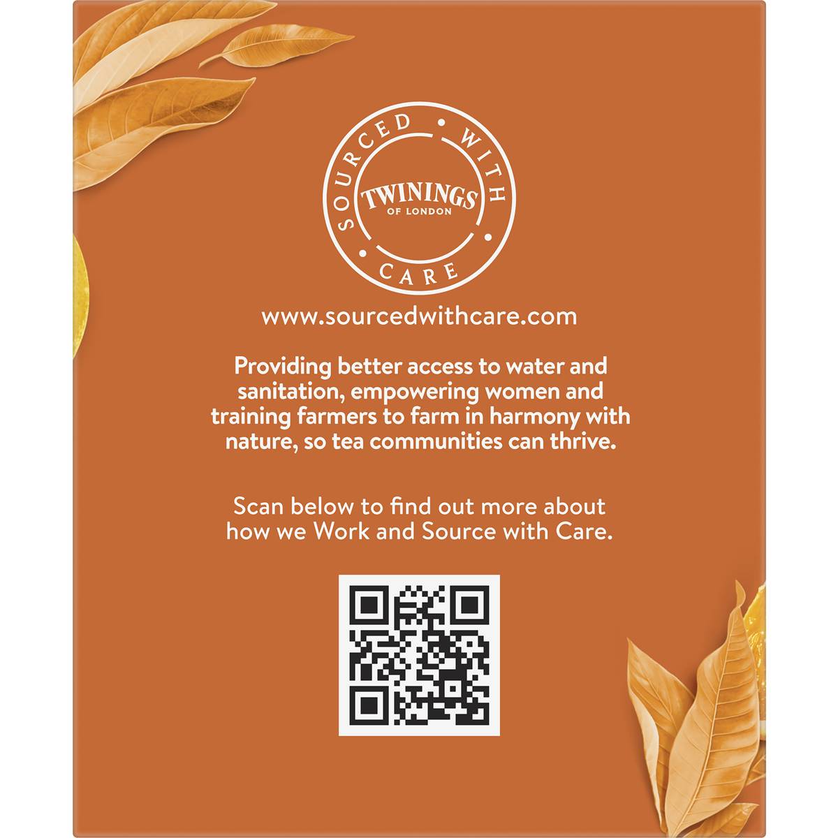 Twinings Orange & Cinnamon Tea Bags 10 Pack