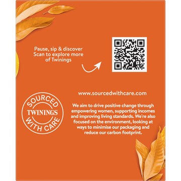 Twinings Orange & Cinnamon Tea Bags 10 pack