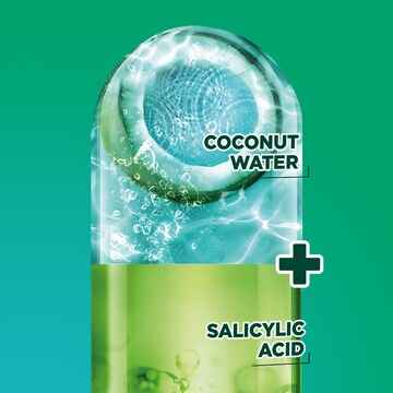 Garnier Fructis Coconut Water Conditioner 315mL