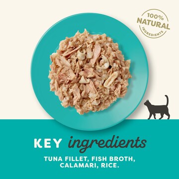 Applaws Wet Cat Food Tin Tuna & Calamari 60g