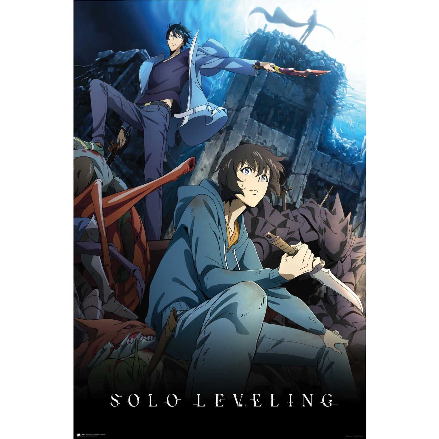 Solo Leveling - Jinwoo Poster