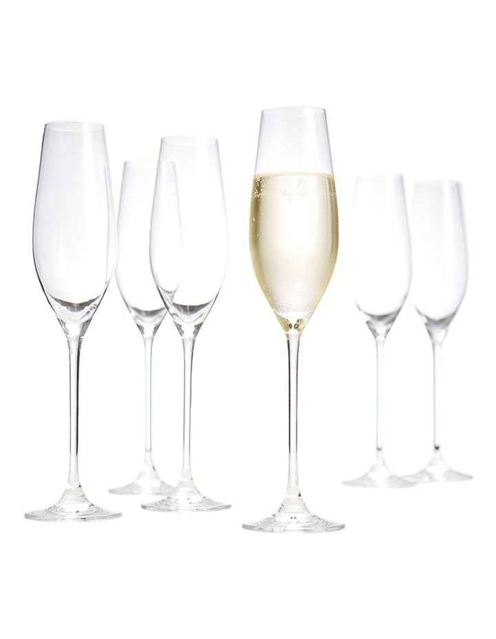 Cuvee Champagne Flute Set of 6 210ml in Clear