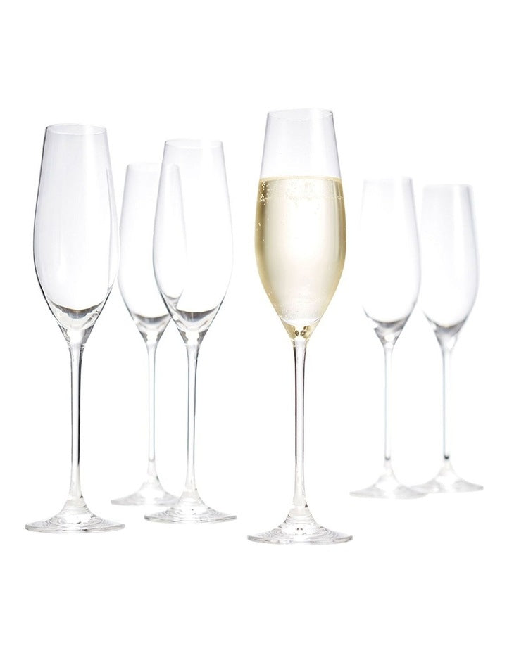 Cuvee Champagne Flute Set of 6 210ml in Clear