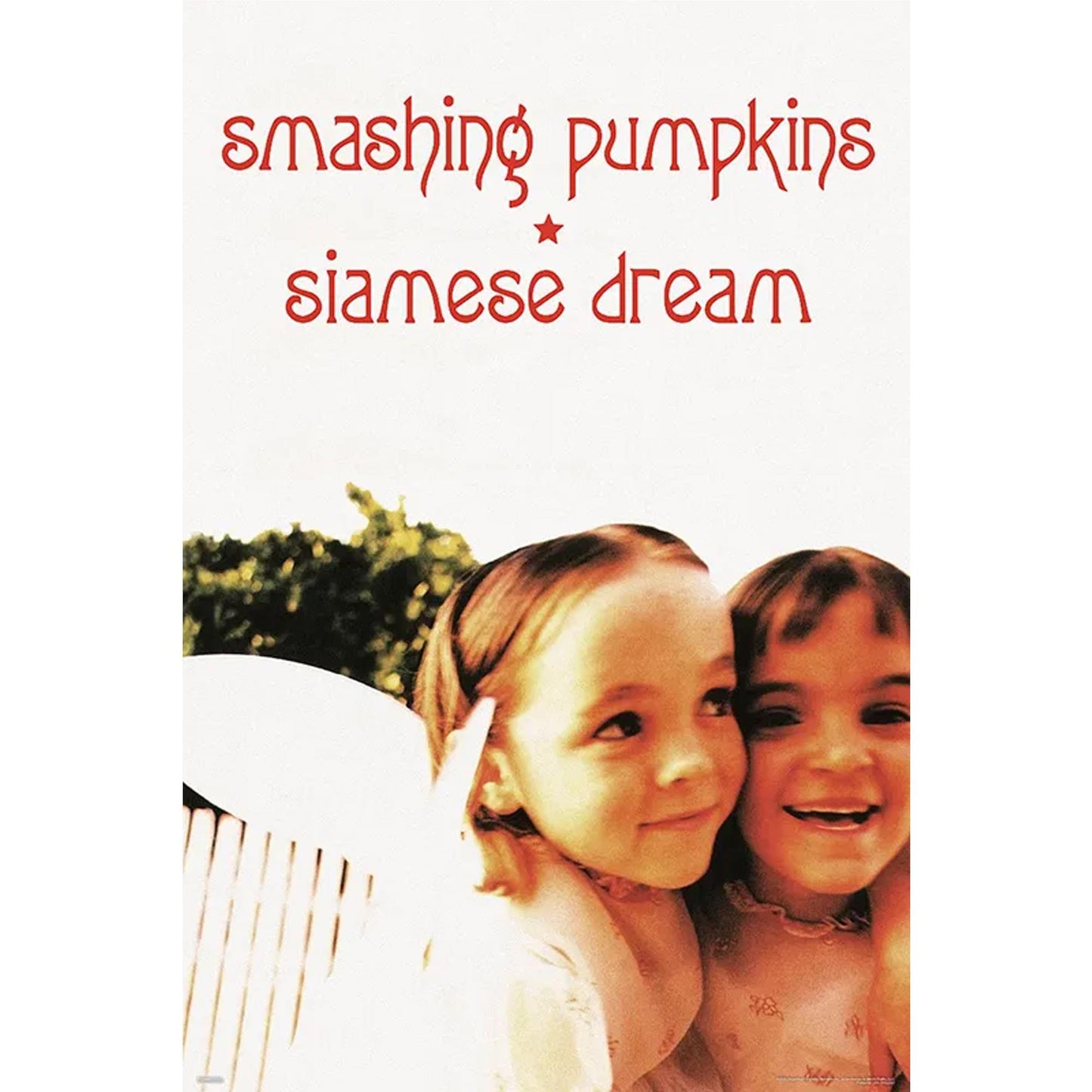 Smashing Pumpkins - Siamese Dream Poster