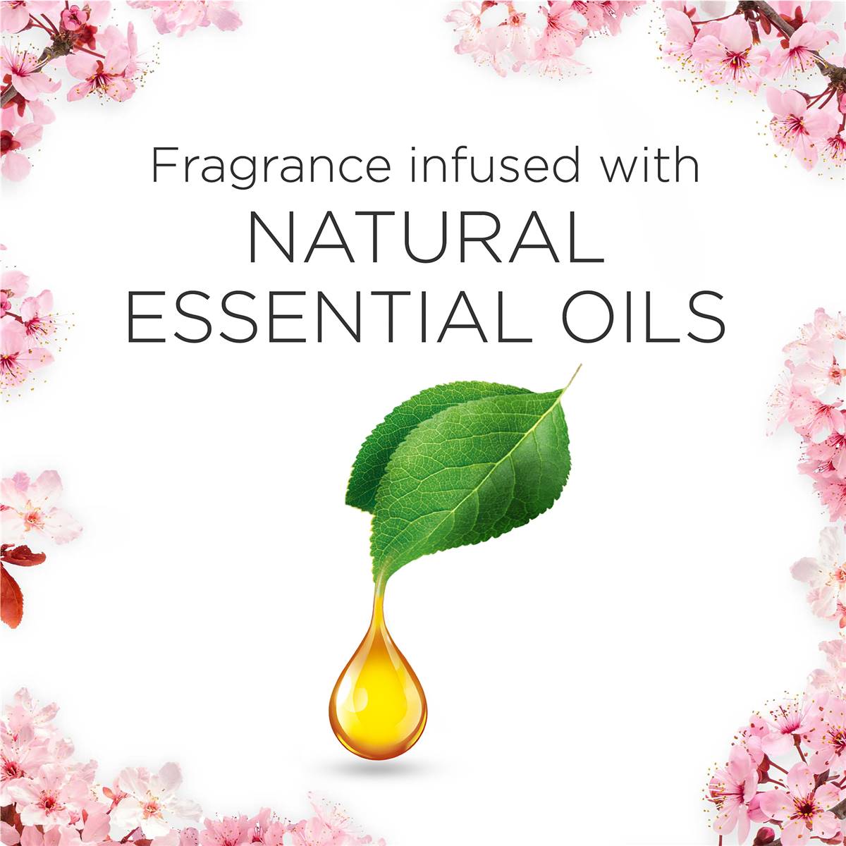 Air Wick Pure Cherry Blossom Plug-In Diffuser Refill 19ml x 2 pack