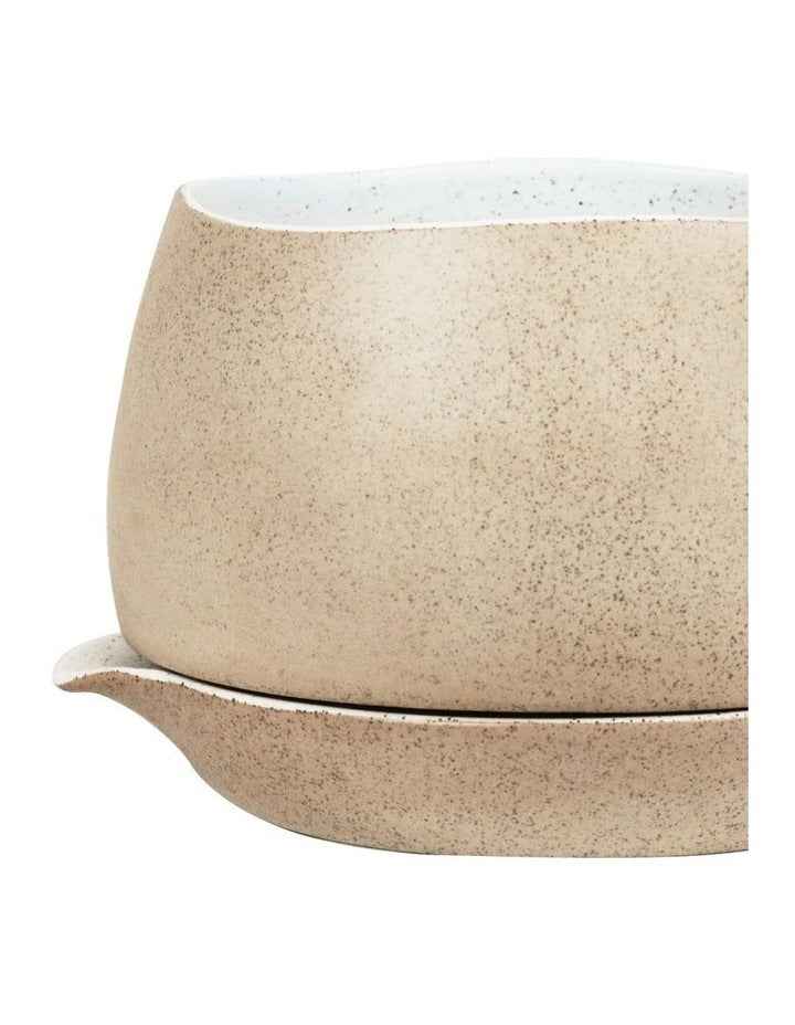 Garden To Table Small Self Watering in white