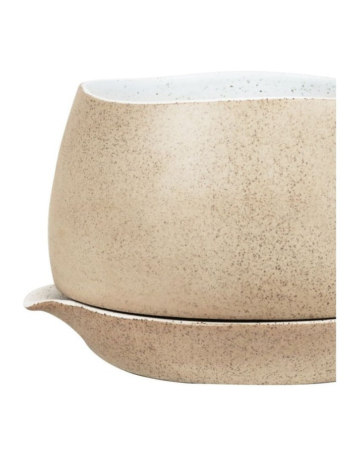 Garden To Table Small Self Watering in white